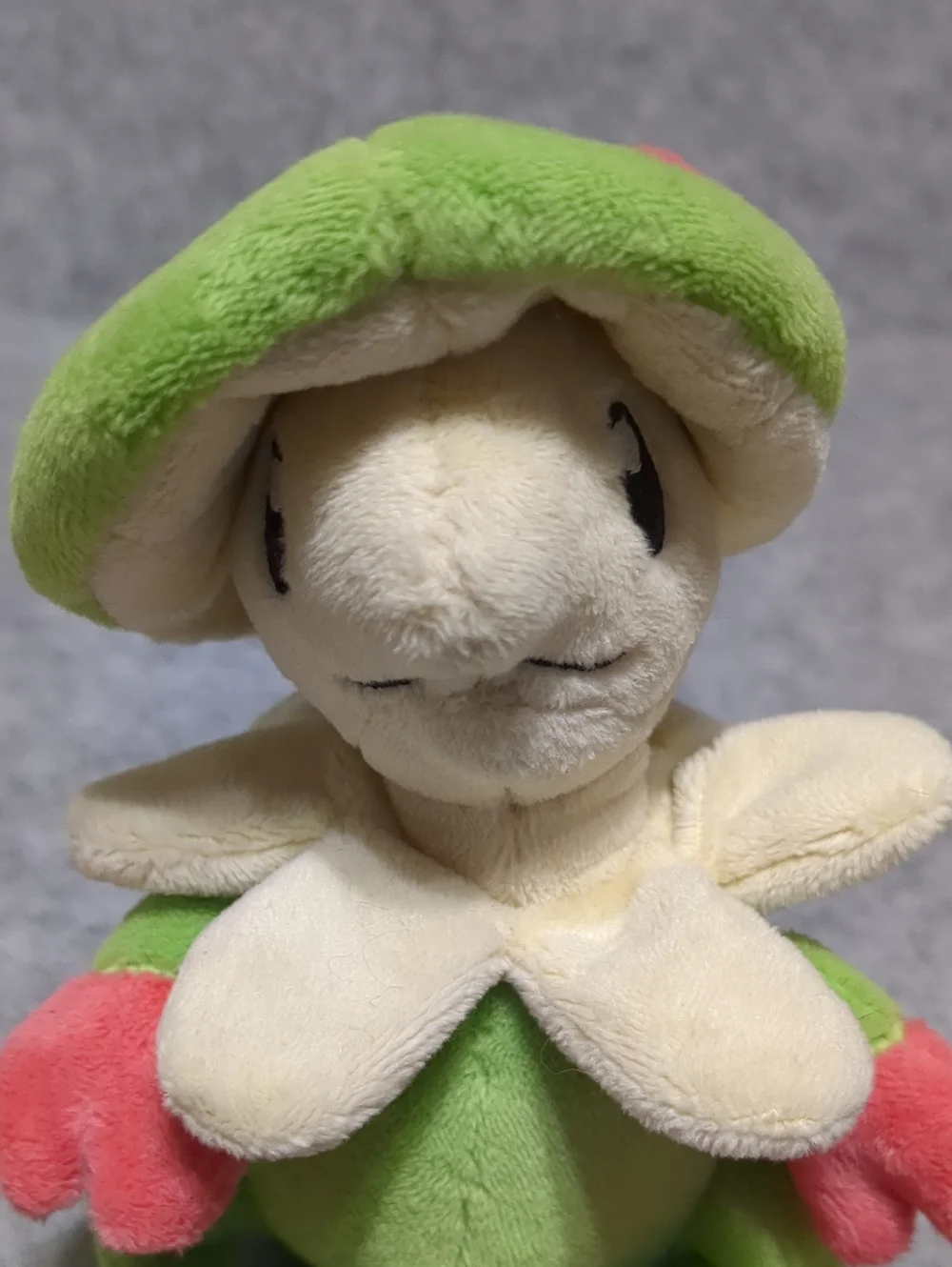Pokemon Center Original Plush Pokemon Fit Kinogassa Japan Rare Plush 5.5